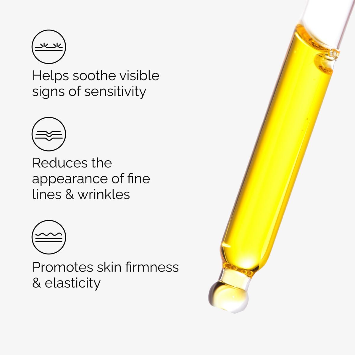 100% Fermented Rose Hip Seed Oil - Fresh Reset