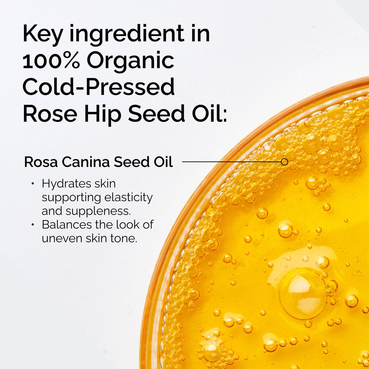 100% Organic Cold-Pressed Rose Hip Seed Oil - Daily Scent