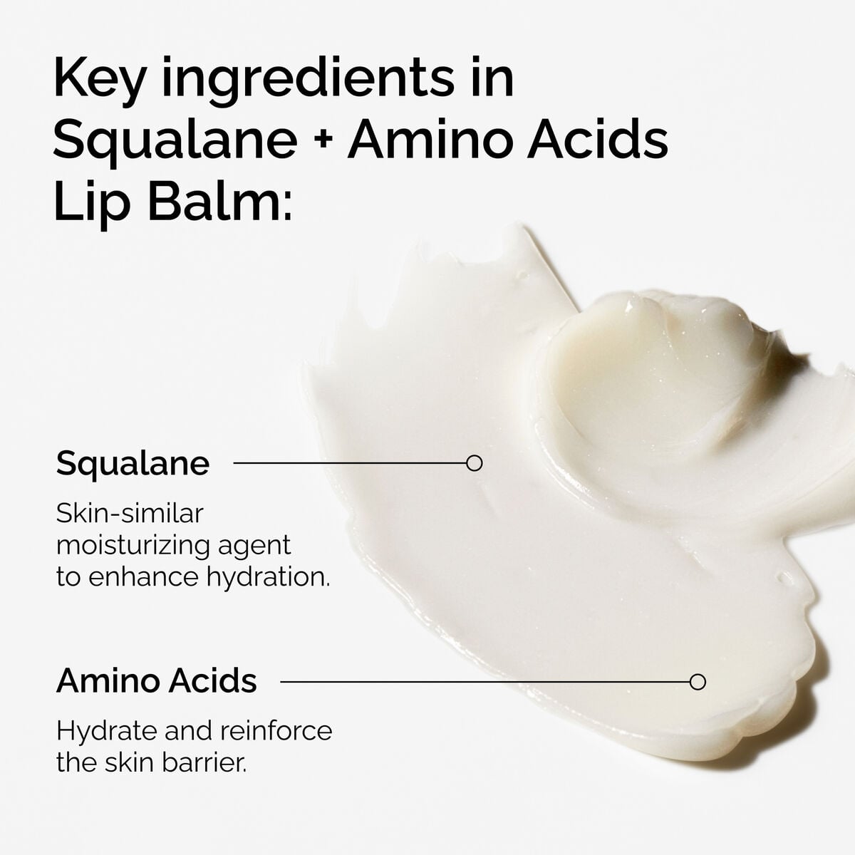 Squalane + Amino Acids Lip Balm - Everyday Pop