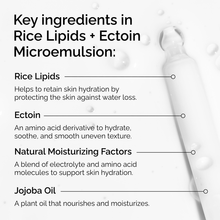 Rice Lipids + Ectoin Microemulsion - Gift Ready